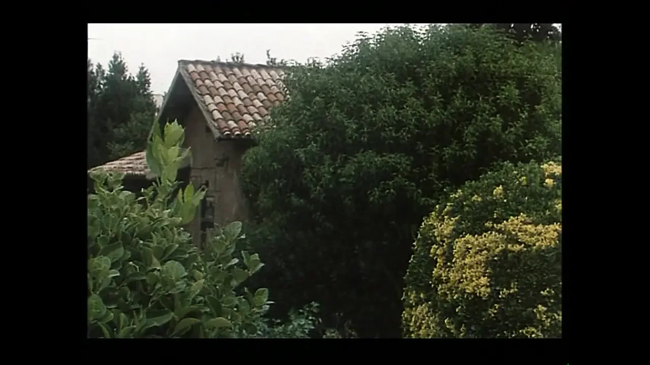 Sex and the Big Cock