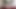ベジタリアンズ7いただきました