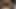 Latin sissy wants big dick