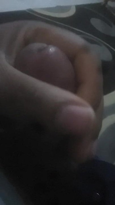 zebi 2