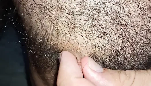 Yakın çekimde yarak göğüs uçları ayakları
