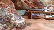 Pregled videozapisa