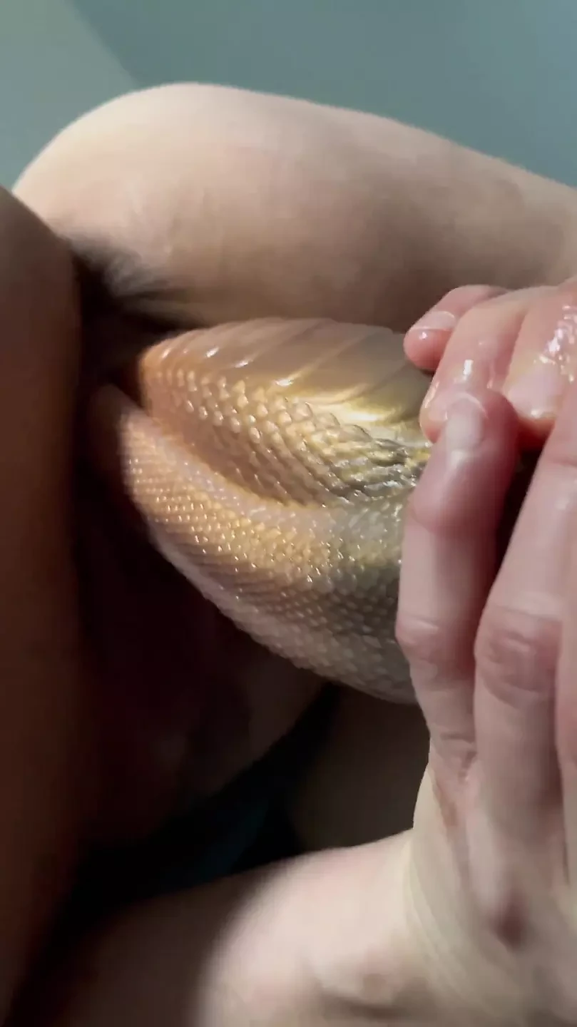 First time with a bad dragon toy