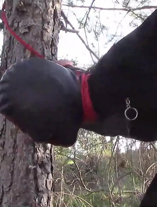 Compilación de 1 hora follando duro en tacones altos, muchos gritos, gemidos y orgasmos