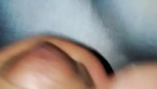 Flecharosa haraç 1