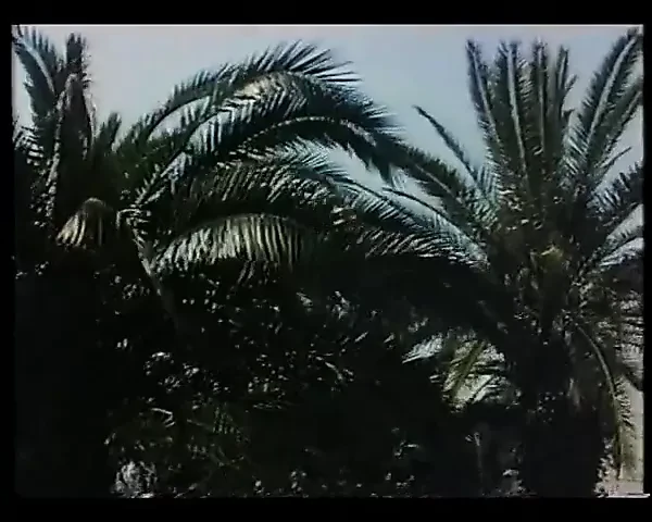 Cuckolding Vacation