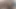 İlk kez yarak emiyor ve en iyi arkadaşımın sütünü yutıyorum