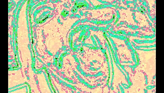 CEI Quickie Extension Included