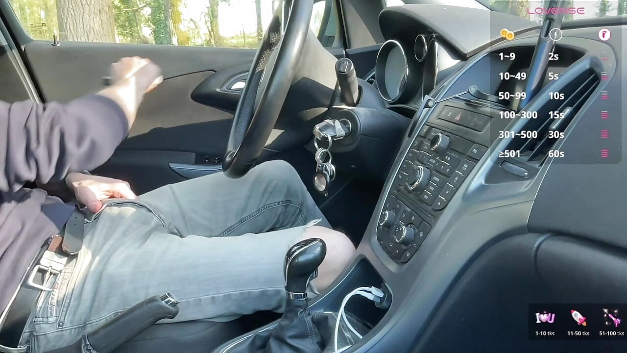 Estacionado en un área de descanso del bosque, se dio cuenta de que me