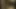 Büyükannenin sulu kedi bir bbc alır