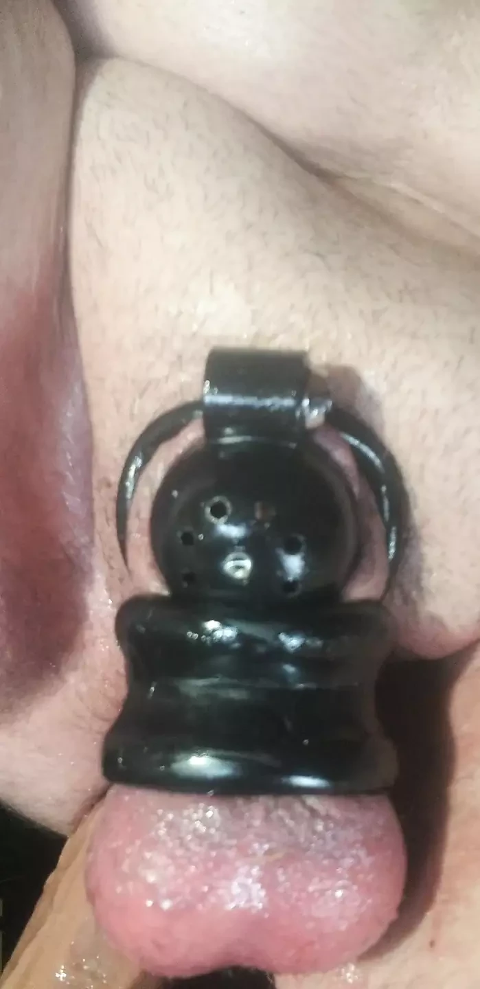 Jarmus w czystości z buttplug, a następnie do dildo na wczesną poranna zabawę