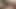 Daddy! Come and Penetrate my Virgin Tamil Pussy Real-Homemade Indian Sex with Indian Bhabhi in x Videos