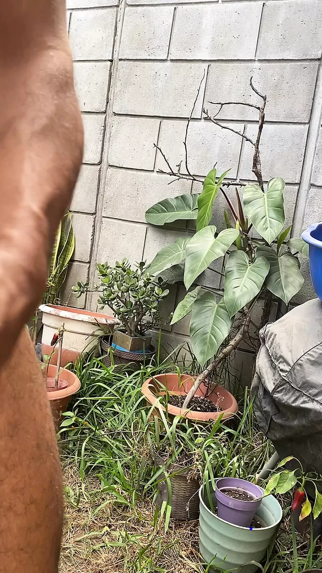 Solo handjob while i tan outside
