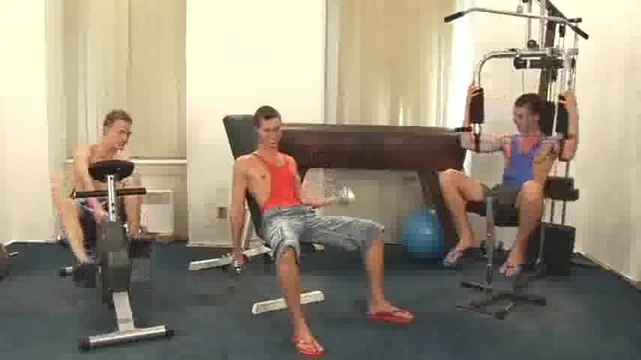 Соблазнение близнецами