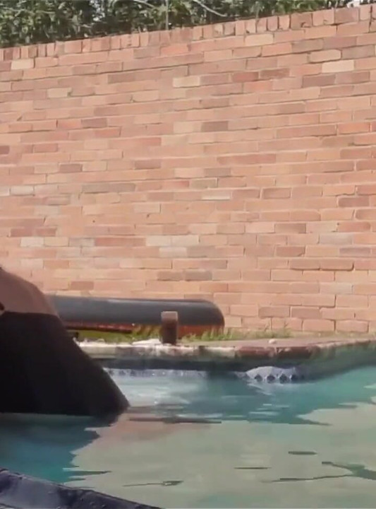 Yüzme havuzu sikişi