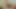 3'lü porno - beyaz bir bebek ve büyük memeli siyah sert sikiliyor