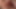 三人のレズビアンのミルフが指で愛撫し、膣を舐めるスリーサムセックス