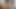Anal masturbation- Naughty black masturbating her greedy ass very horny.