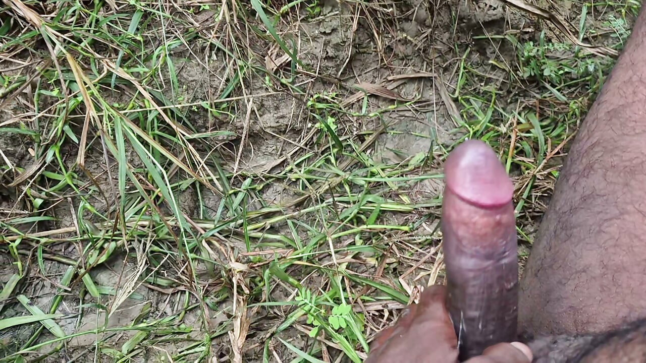 Shaandaar haindajb aur svadisht doodh ka chhirkaav