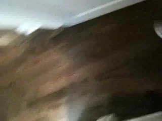 House sitting