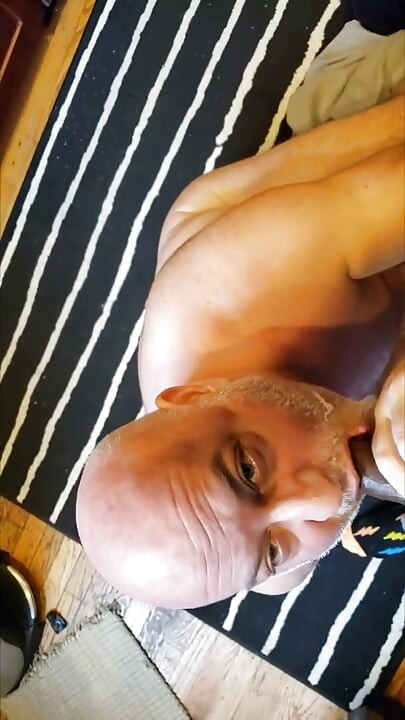 Bear Gets a Facial in the Kitchen From a BBC