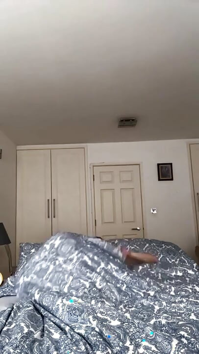 与尼克·丹纳的一天生活