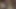 Blowjob with cumshot