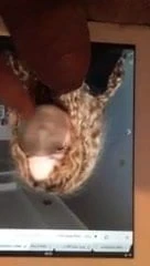 Nicole cum tribute 4