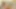 Pressley Carter and Kendra Cole Are Some Eager Cock Sucking Sluts! Povmania