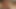 Busty civcivler sarah vandella ve tasha saltanatı paylaşım horoz