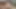 New video 2024-02-02 01:39:31