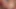 Hardx Titillating Big Titties Threesome