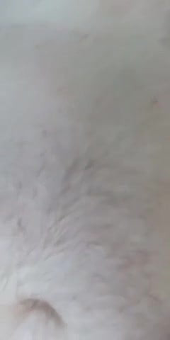 penis and butt