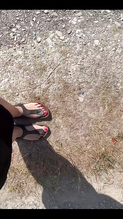 I'm Only Going for a Walk Today for One Reason