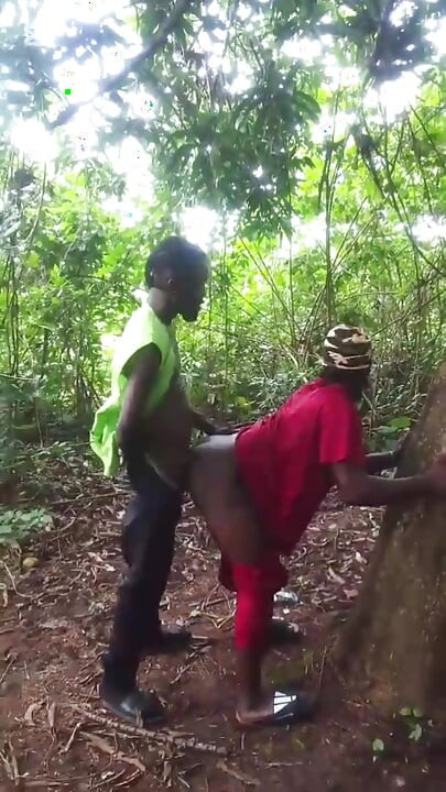 Inside Bush Fucking After Smoking...