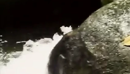 Beyler açık havada 1