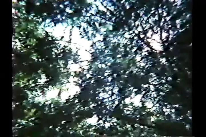 Banho de Lingua (1985)