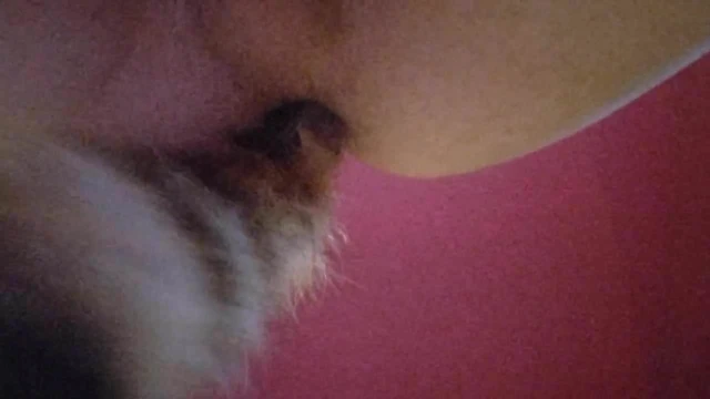 Sissy Joslin Shaking Her Tailplug