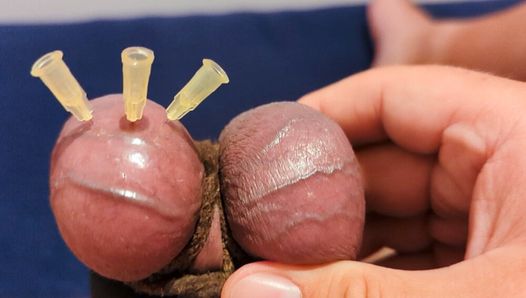 Embrochage de testicules, CBT, bordure et éjaculation avec 3 aiguilles, pré-éjaculation et couilles étirées