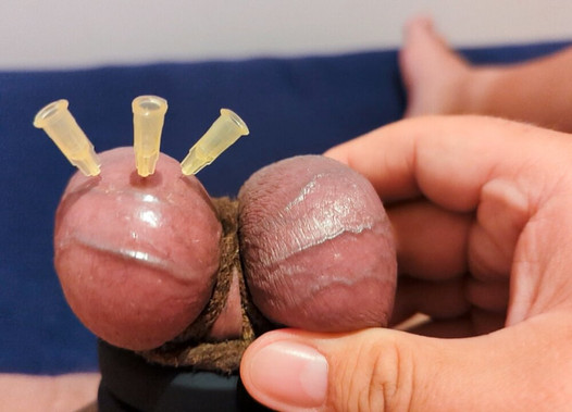 Testicle Skewering CBT, Edging & Cumshot with 3 Needles, Precum & Stretched Balls