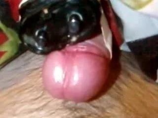 Grandpa Shaver Porn Videos: Gay XXX 2025 | xHamster