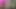 Hot Pink Bikini Bushwalk
