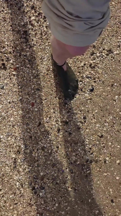 Short Test in the Mudflats on the Beach of Horumersiel
