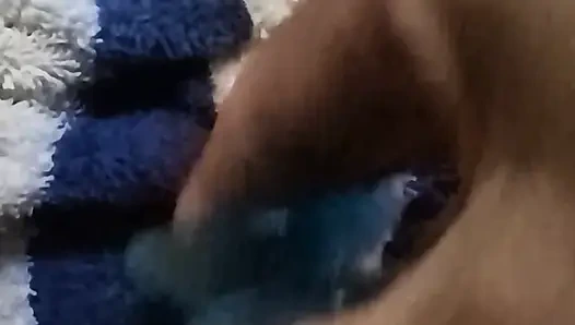 Rekaman seks solo tante seksi lagi asik muncrat pakai dildo baru