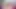 Vibrator zittert, als muschi um mehr bettelt - Live-Show 05. Februar 2021
