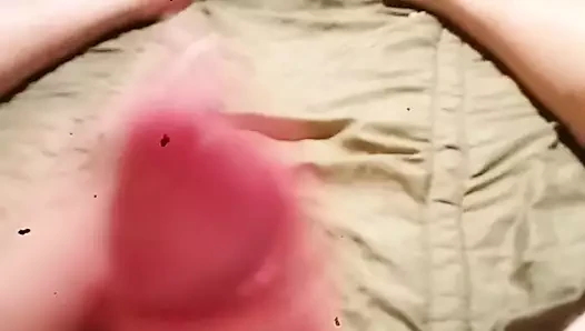Bite prete avec capote