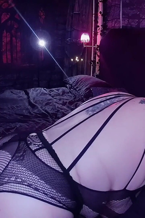 2부:- 라니스타 곰 처벌과 키티와 함께하는 플레이 타임.