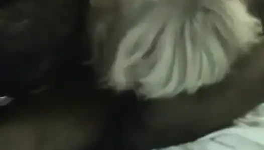 Cuckold milf - istri yang selingkuh