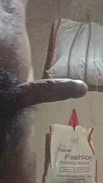 Pregled videozapisa
