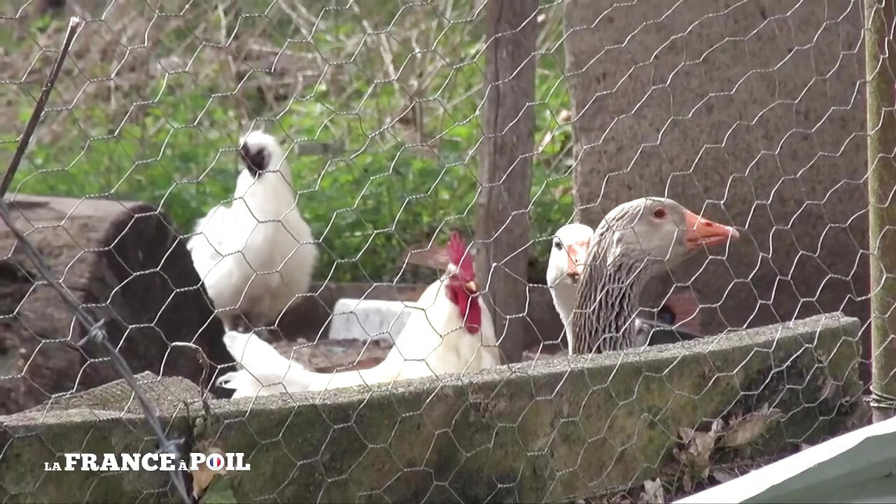 Mature Bourgeoise Hard Anal Fucked Outdoor by the Garderner